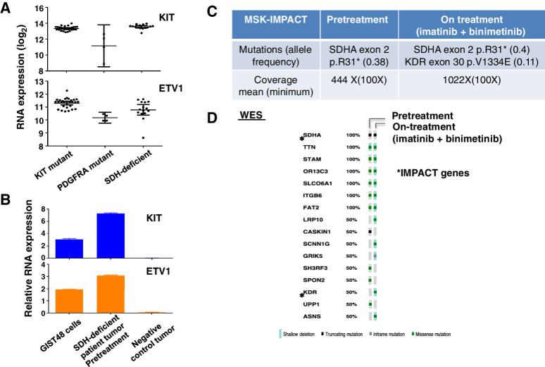 Figure 4. Molecular analyses of archived GISTs and the SDH-deficient GIST patient's pre- (debulking surgery; November 20, 2012) and on-treatment (biopsy; November 5, 2015) tumor samples. A, Normalized RNA expression levels of KIT and ETV1 from U133A microarray analyses in MSKCC archived GIST samples harboring KIT (n = 29) or PDGFRA (n = 4) activating mutations, or KIT/PDGFRA WT and SDH-deficient GIST (n = 15). Each dot represents one tumor sample. Error bars: 95% CI. B, Relative RNA expression level of KIT and ETV1 compared with RPL27 (a housekeeping gene) by qRT-PCR in the patient's FFPE pretreatment tumor samples, the ETV1-expressing GIST48 human cell line, and the ETV1-negative tumor samples control. n = 3, technical replicates; error bars: mean ± S.D. Genetic alterations identified by MSK-IMPACT assays (C) and by WES (D) of the pretreatment and on-treatment FFPE tumor samples from the patient with SDH-deficient GIST shown in Fig. 4. The MSK-IMPACT assay included the mean and minimum coverage of the targeted exons and the allele frequency detected for each permutation (C). *, the mutations detected by MSK-IMPACT. SDHA nonsense mutation was not detected by WES due to lack of coverage (D). But KDR missense mutation was identified in both the WES and IMPACT.