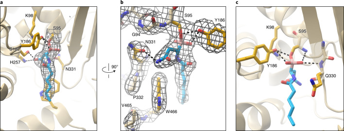 Fig. 3