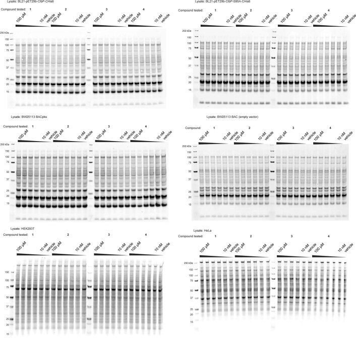 Extended Data Fig. 3