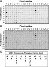 FIG. 9.