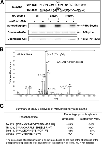 FIG. 11.