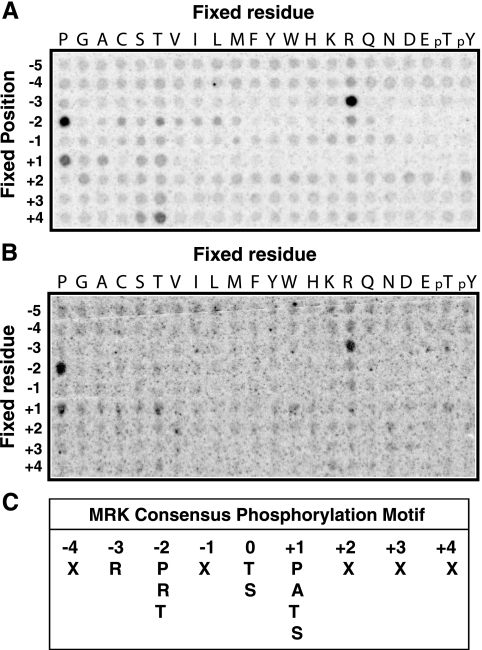 FIG. 9.