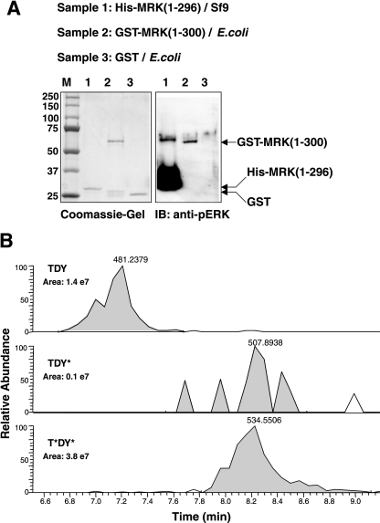 FIG. 8.