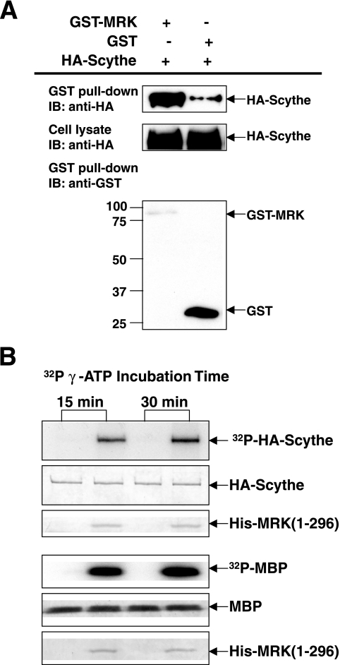 FIG. 10.