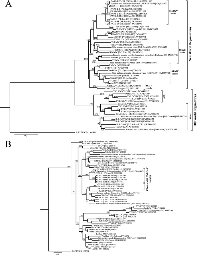 Fig 3