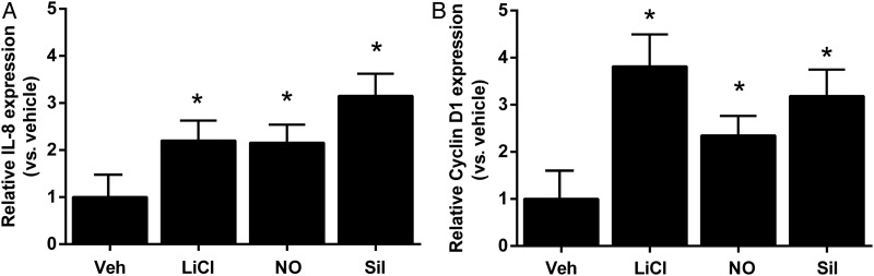 Figure 5