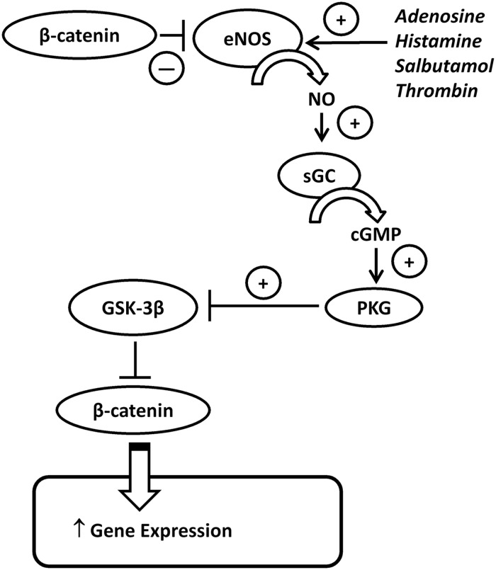 Figure 7