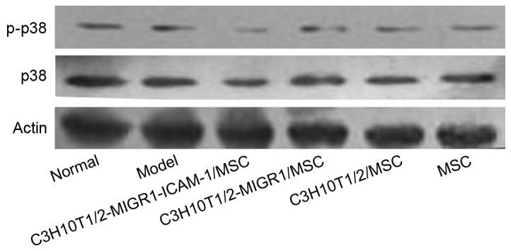 Figure 6.