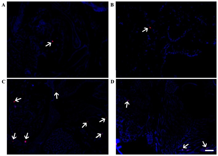 Figure 7.