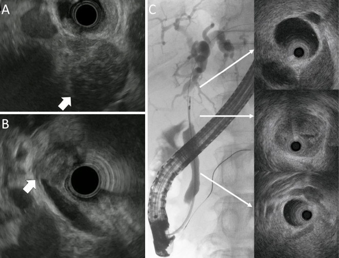 Figure 2.