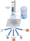 Fig. 7