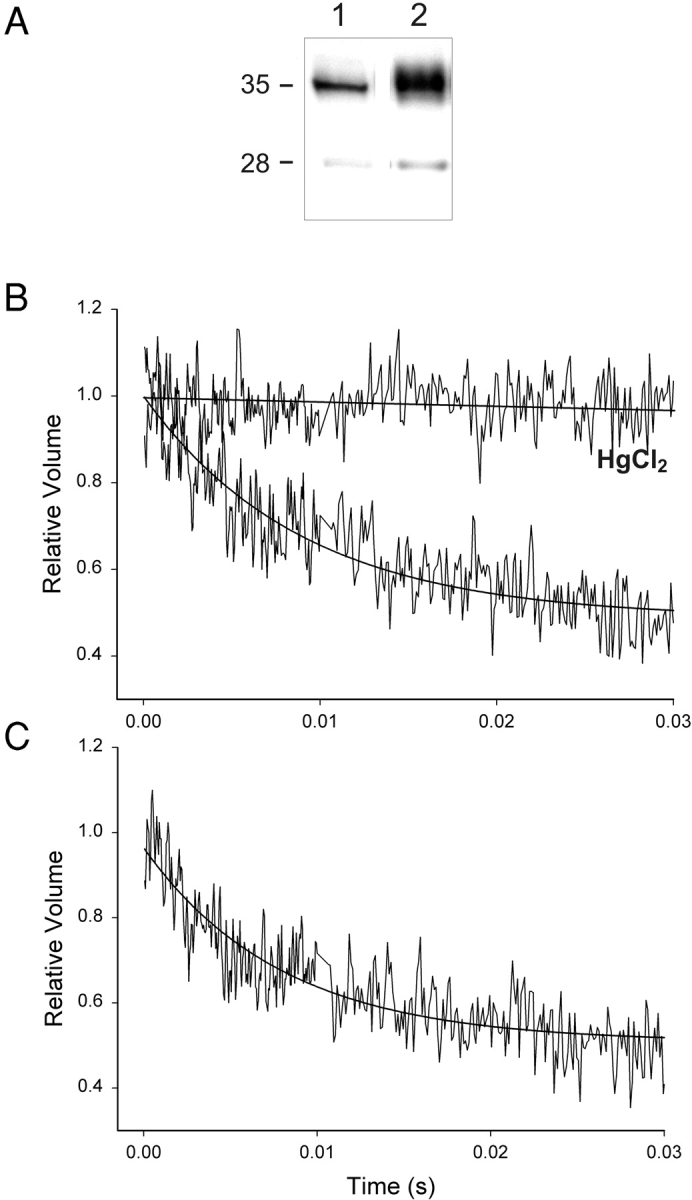 Figure 10. 