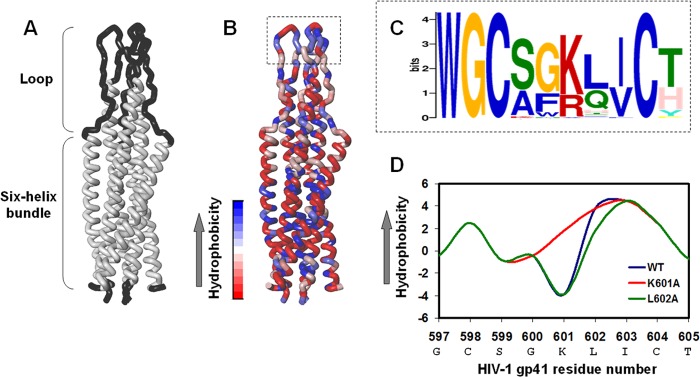 FIGURE 1.