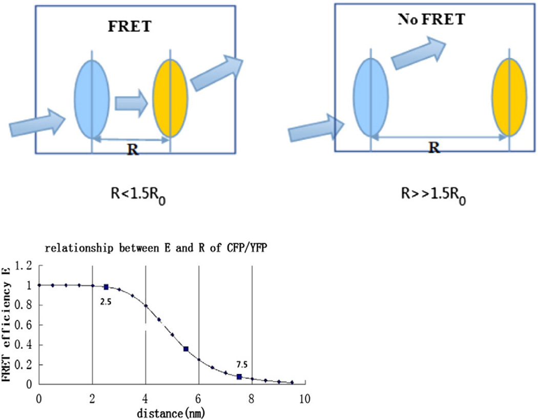 Fig. 5