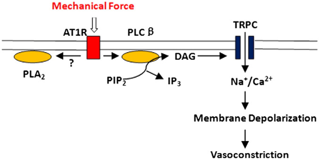 Fig. 3