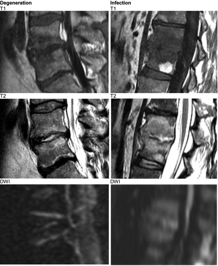 Fig 3.