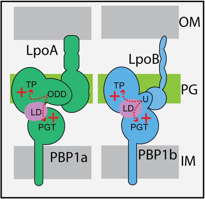 Fig. 6.