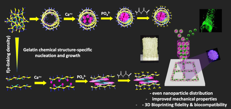 graphic file with name 40824_2022_301_Figa_HTML.jpg