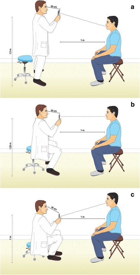 Fig. 1