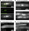 Extended Data Fig. 5