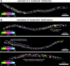 Extended Data Fig. 4