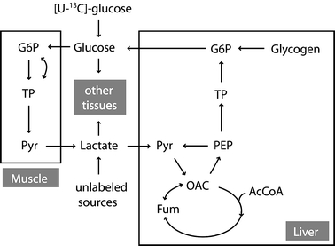 Figure 1.