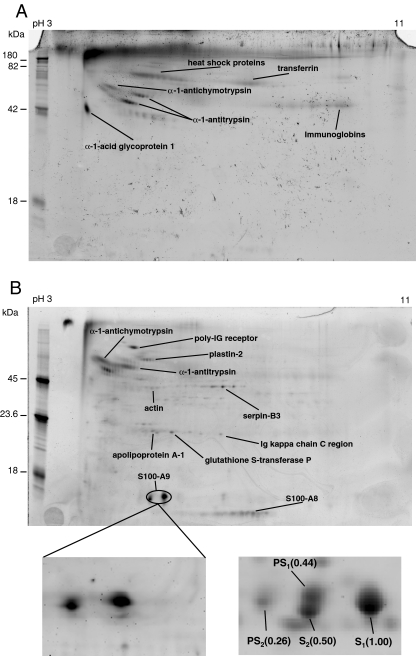 Fig. 4