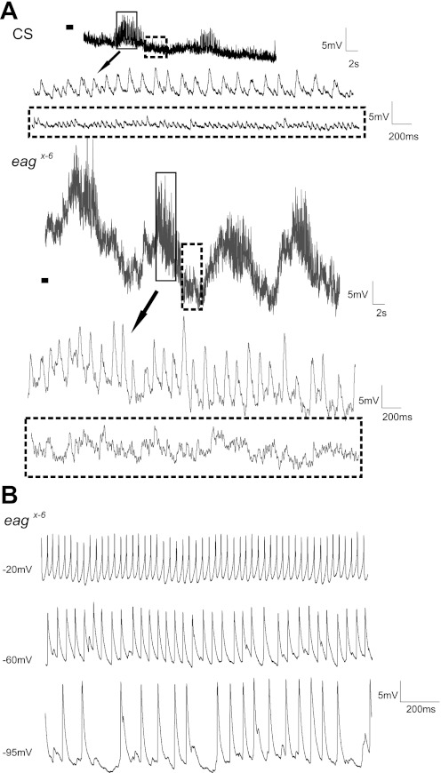 Fig. 6.