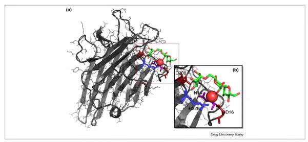 FIGURE 2