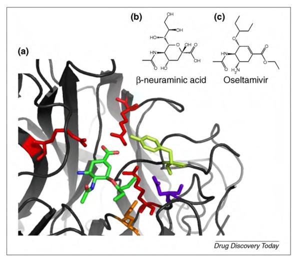 FIGURE 1