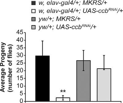 Figure 3.