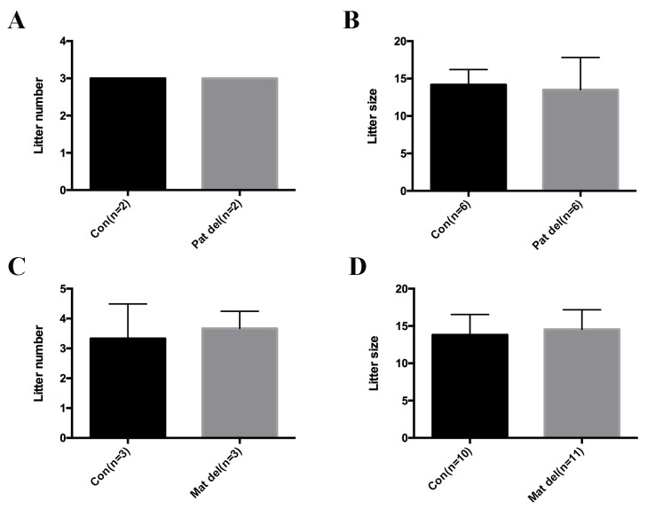 Figure 6—figure supplement 1.