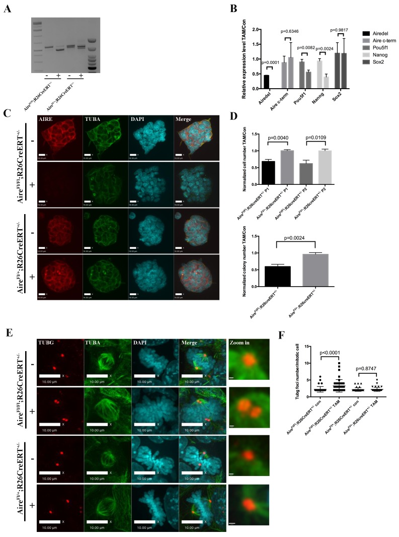 Figure 3—figure supplement 2.