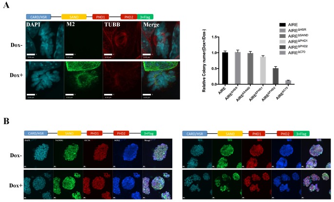 Figure 2—figure supplement 2.