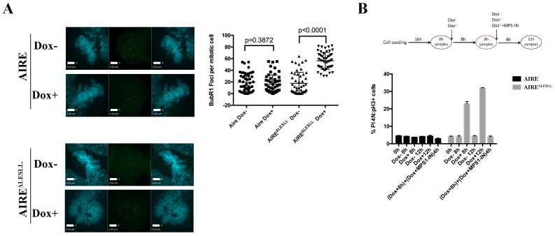 Figure 4—figure supplement 2.