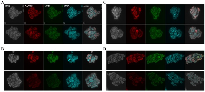 Figure 3—figure supplement 3.