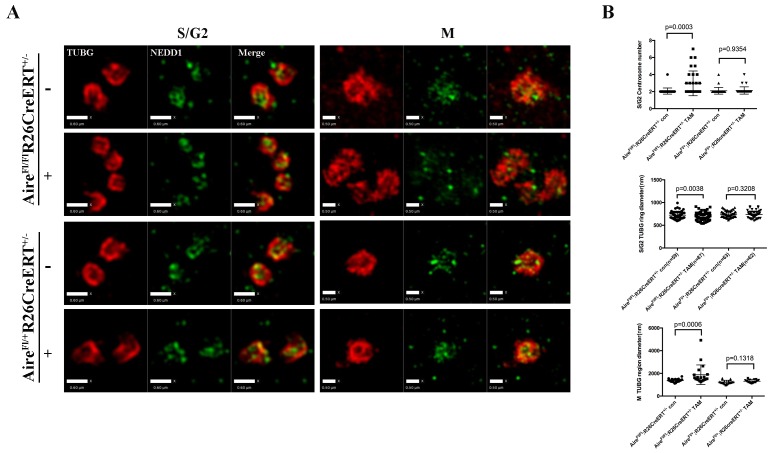 Figure 5—figure supplement 1.