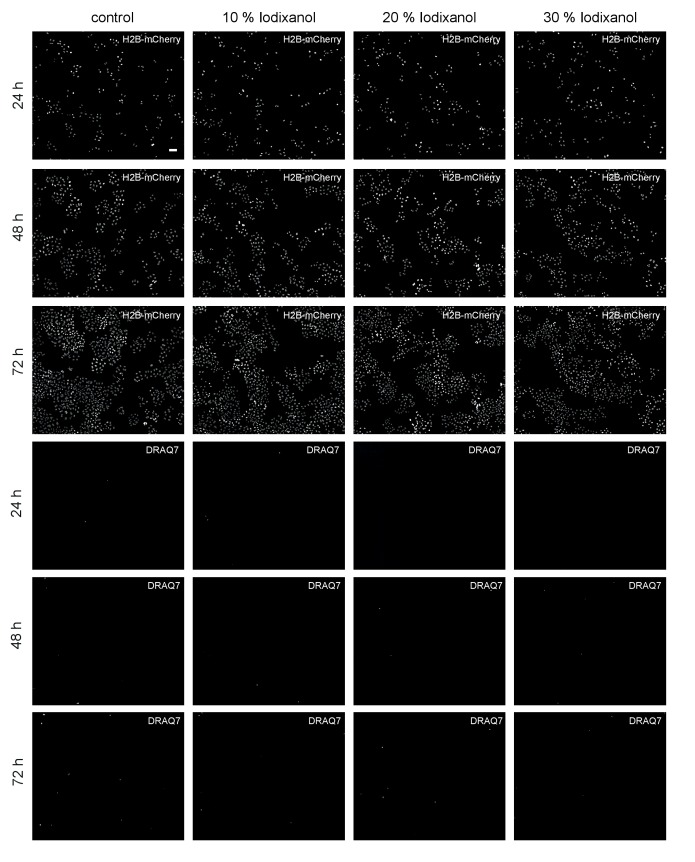 Figure 2—figure supplement 1.