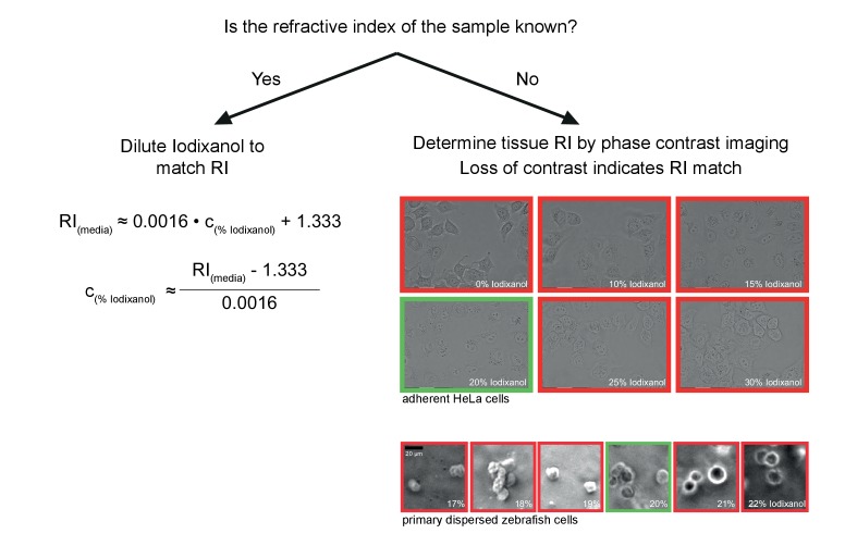 Figure 4—figure supplement 2.