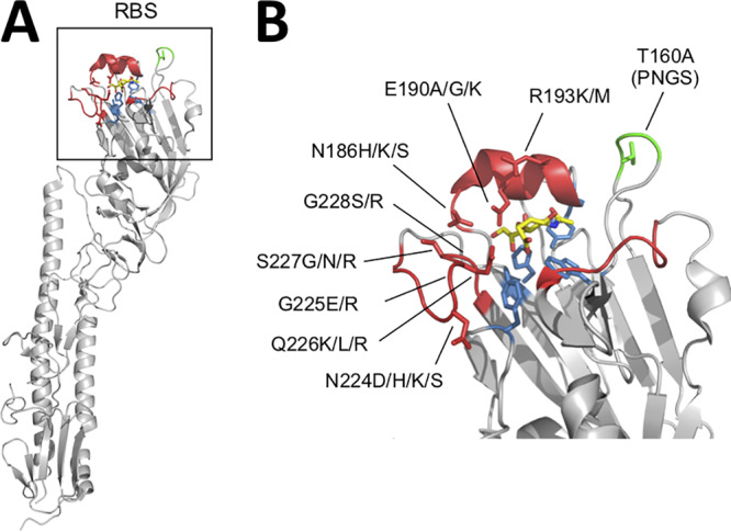 FIG 1