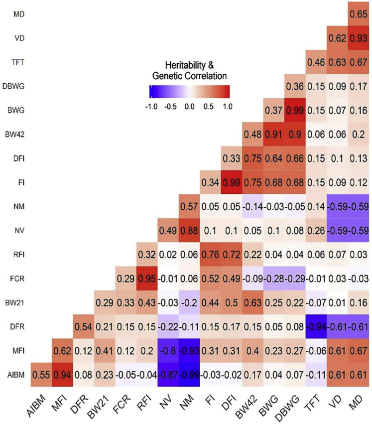 Figure 1