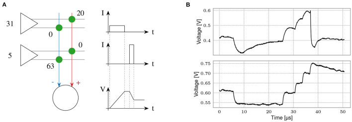 Figure 12