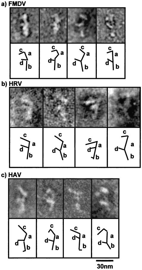 FIG. 4.