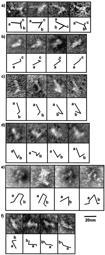 FIG. 3.