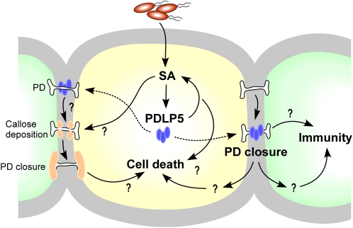 Figure 12.