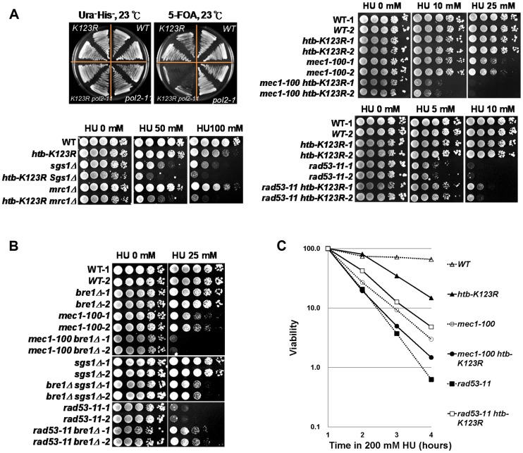 Figure 4