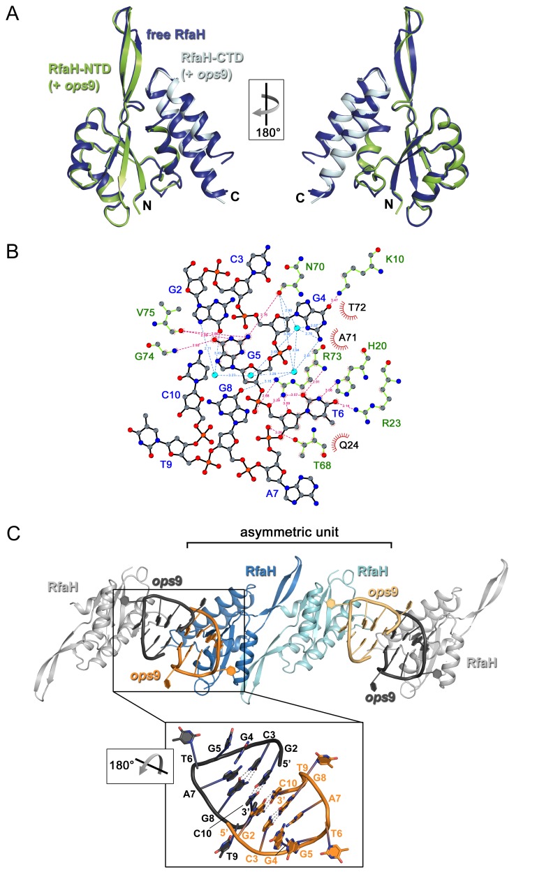 Figure 4—figure supplement 1.