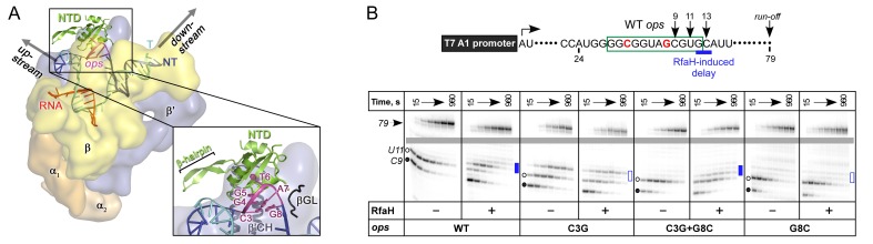 Figure 5.