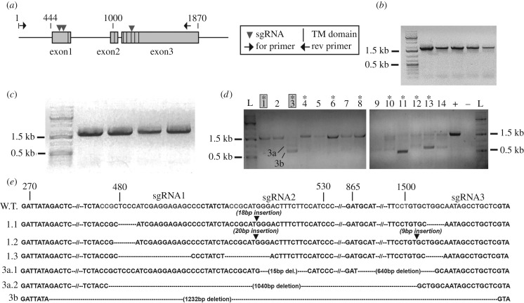 Figure 3.