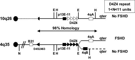 Figure  1